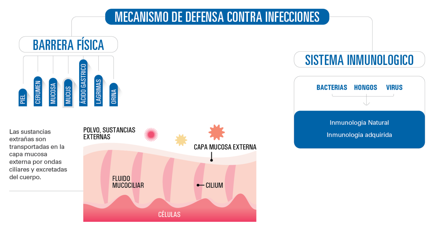 Mecanismo contra infecciones