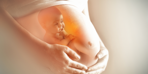 bebé en la placenta